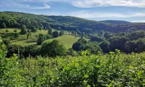 Zwoleń atrakcje: odkryj ukryte skarby i piękne miejsca w regionie