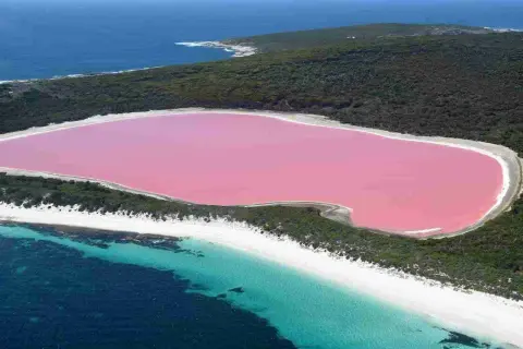 Niezwykłe, różowe jezioro w Australii otoczone zielenią i białymi plażami, z turkusową wodą oceanu w tle.