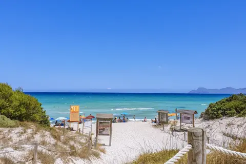 Piękna plaża Playa de Muro z turkusową wodą, białym piaskiem i zieloną roślinnością. Ludzie odpoczywają pod parasolami.