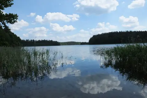 Spokojne jezioro Jegocin otoczone lasem, z odbijającymi się w wodzie chmurami i trzcinami na brzegu.