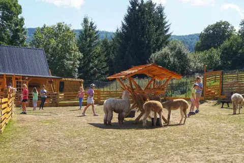 Najlepsze atrakcje w Lądku-Zdroju, które musisz odwiedzić