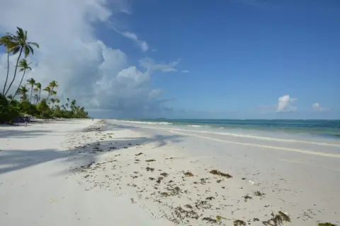 Plaża na Zanzibarze, idealne miejsce, by zobaczyć tropikalny raj. Palmy, biały piasek i turkusowe morze.