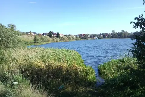 Jezioro Tuchomskie: piękne miejsce z ekologicznymi wyzwaniami i atrakcjami