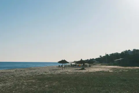 Spokojne tunezyjskie plaże z trawianymi parasolami i palmami w tle. Idealne miejsce na relaks.