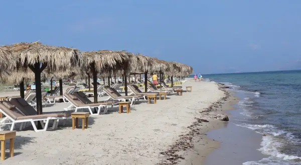 Piękna plaża Tigaki z rzędami leżaków pod słomianymi parasolami, spokojne morze i błękitne niebo.