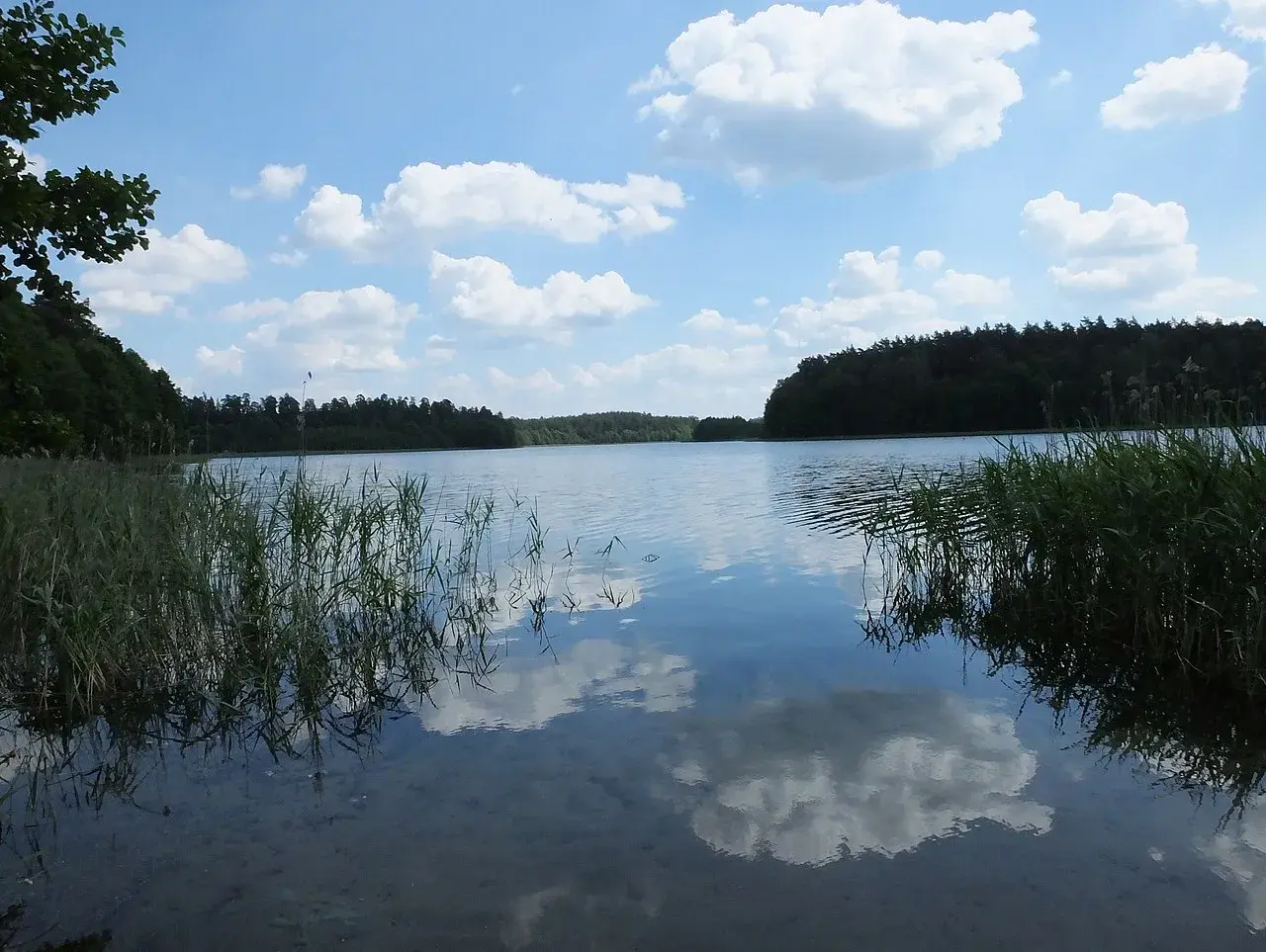 Spokojne jezioro Jegocin otoczone lasem, z odbijającymi się w wodzie chmurami i trzcinami na brzegu.
