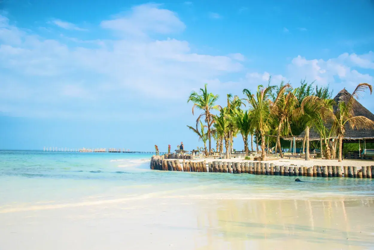 Piękna plaża z palmami i turkusową wodą. Marzysz o podróży? Sprawdź, ile się leci na Zanzibar!