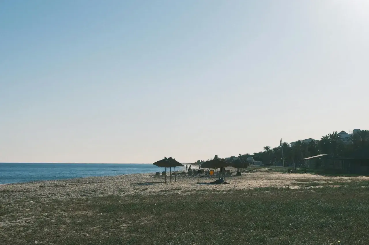 Spokojne tunezyjskie plaże z trawianymi parasolami i palmami w tle. Idealne miejsce na relaks.