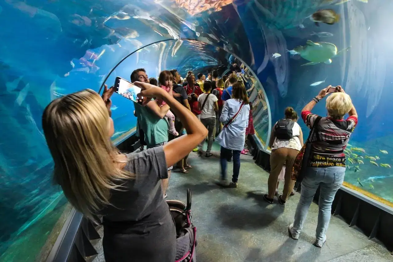 Ludzie w tunelu podwodnym, robiący zdjęcia. Warto kupić oceanarium wrocław bilety, by zobaczyć te cuda.