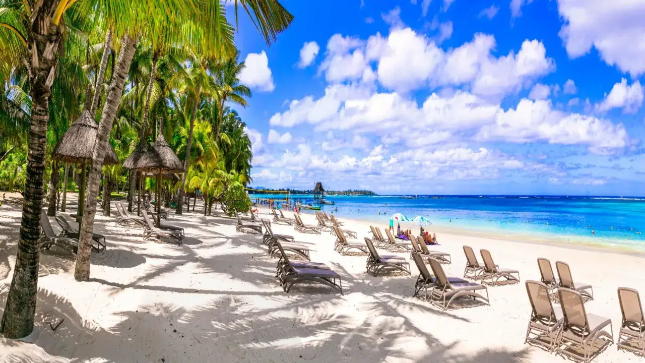 Rajska plaża na Mauritiusie. Palmy, leżaki i turkusowa woda – idealne miejsce, by odpocząć i zobaczyć, co Mauritius ma do zaoferowania.