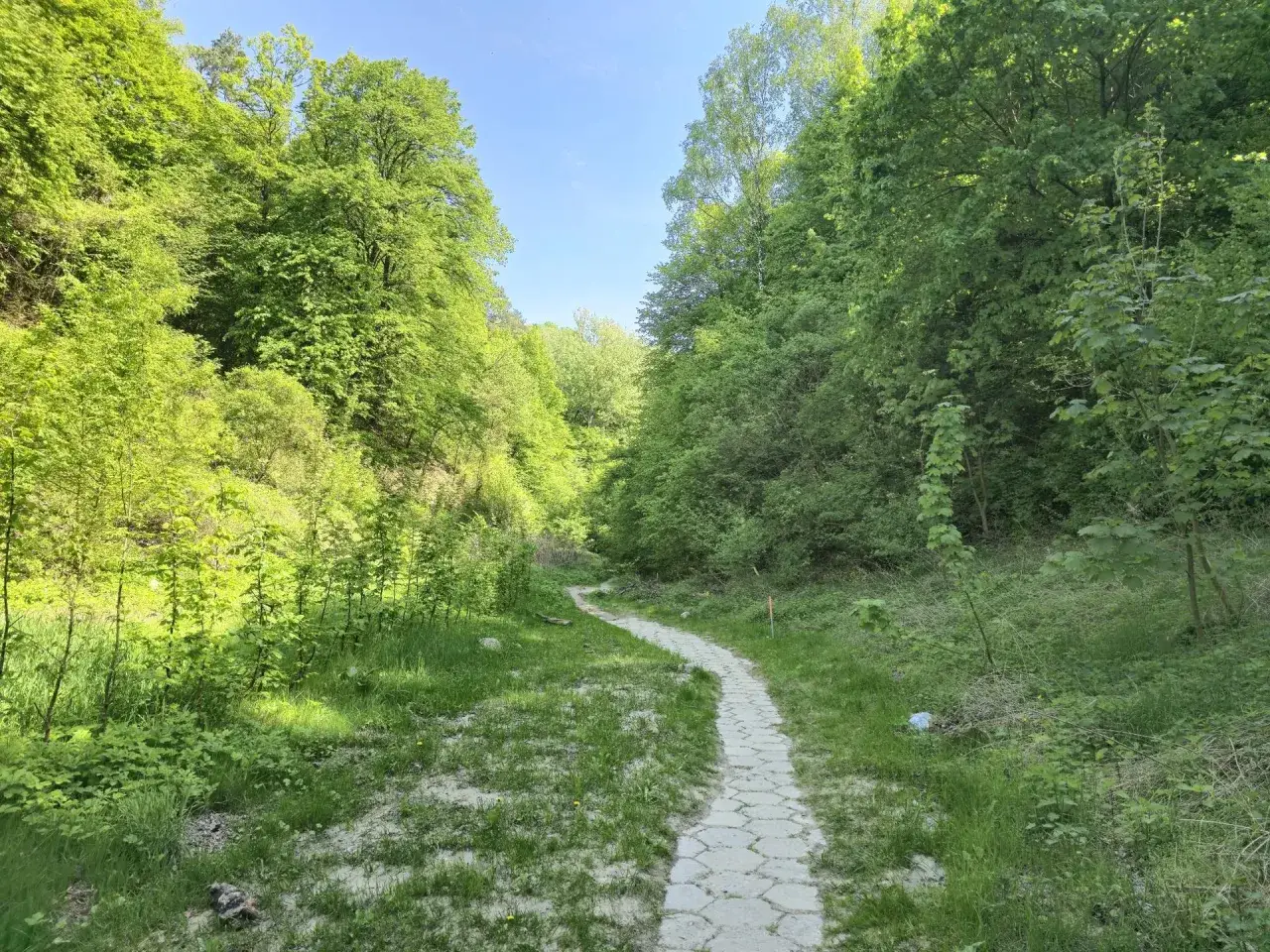 Kamienista ścieżka wije się przez zielony, bujny kanion, otoczony drzewami i krzewami.
