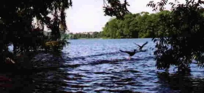 Zdjęcie Jezioro Chrzypsko Wielkie – piękne miejsce na wędkowanie i relaks
