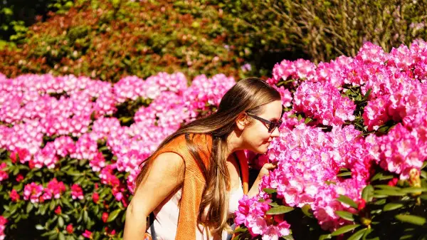 Kiedy jechać do arboretum Wojsławice, aby zobaczyć najpiękniejsze kwiaty?