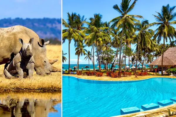 Dwa nosorożce na sawannie i tropikalny ośrodek z basenem na plaży Diani.